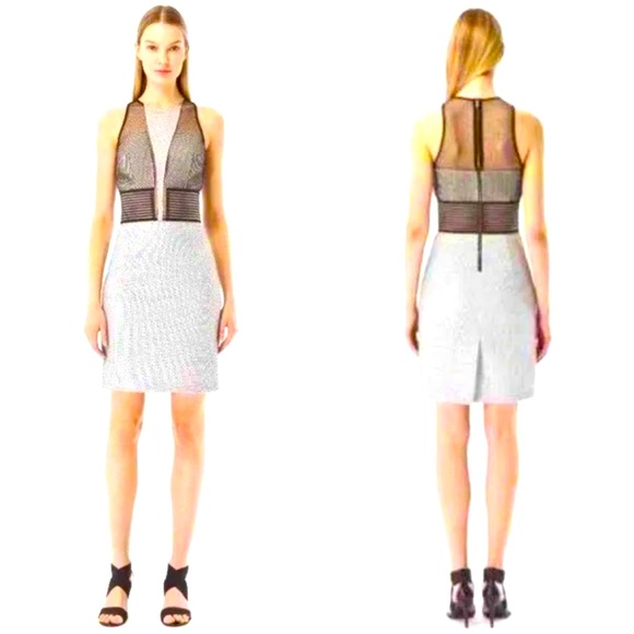 SACHIN + BABI Convergence Sleeveless Mesh Mixed Media Sheath Dress  🤍🖤 - Picture 3 of 10